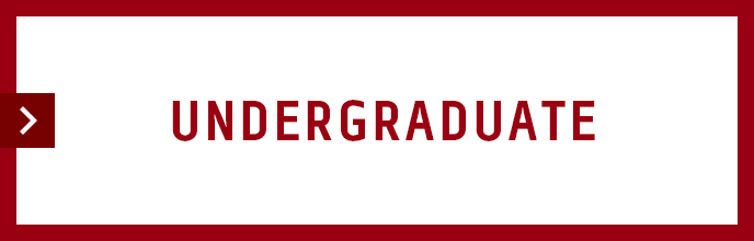 UNDERGRADUATE